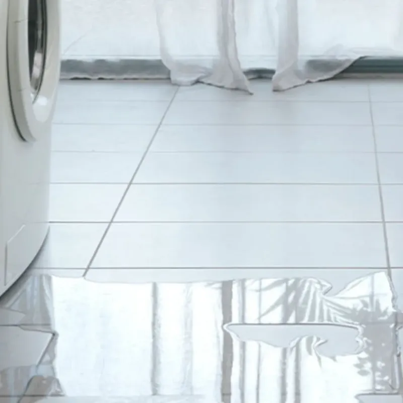 Appliance Leak Cleanup in Kingsbury, NV